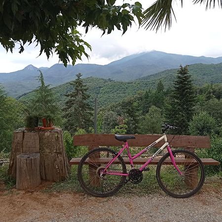 Apartamento En Pleno Montseny Mas Romeu Turisme Rural Арбусьес Экстерьер фото