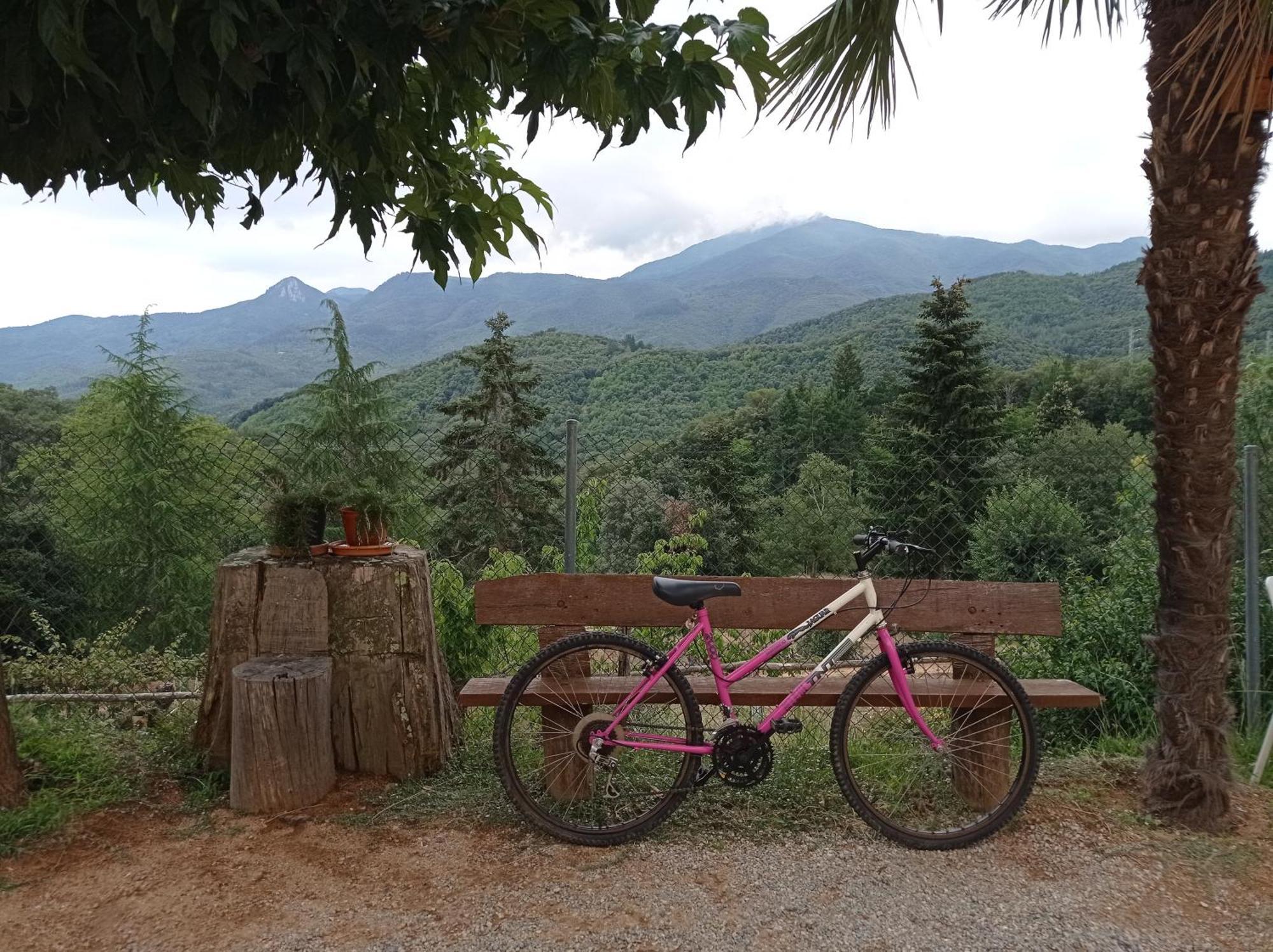 Apartamento En Pleno Montseny Mas Romeu Turisme Rural Арбусьес Экстерьер фото
