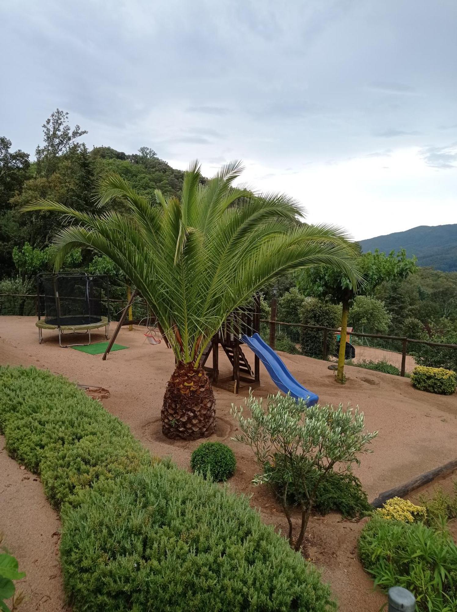 Apartamento En Pleno Montseny Mas Romeu Turisme Rural Арбусьес Экстерьер фото