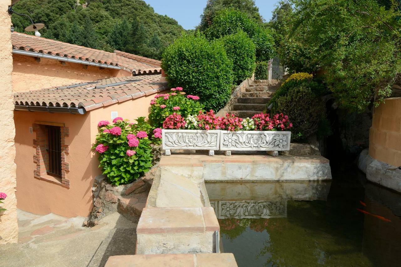 Apartamento En Pleno Montseny Mas Romeu Turisme Rural Арбусьес Экстерьер фото