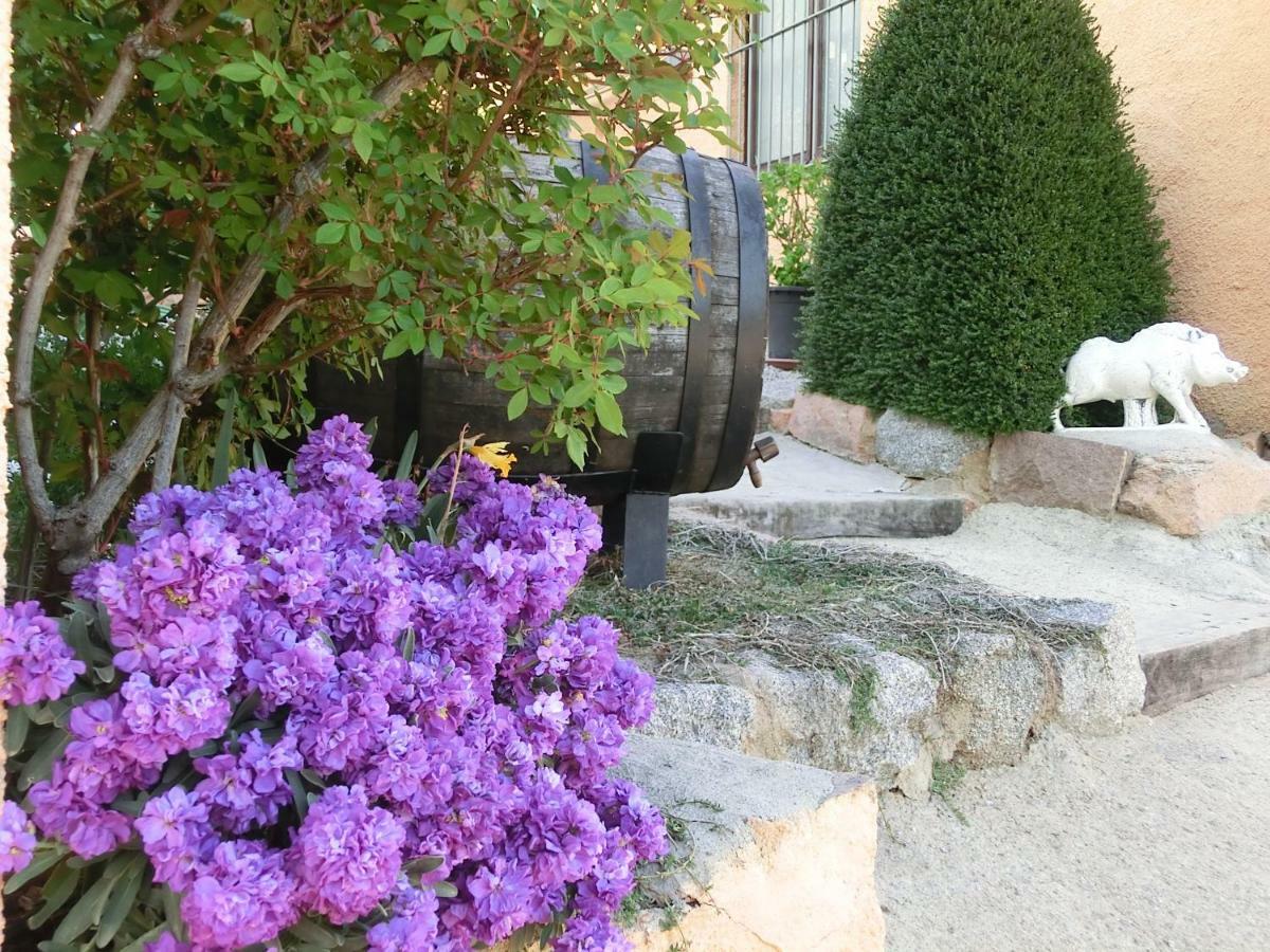Apartamento En Pleno Montseny Mas Romeu Turisme Rural Арбусьес Экстерьер фото
